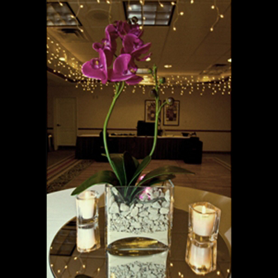 Glass Rectangle Vase - Centerpieces & Columns - Centerpieces for boat weddings